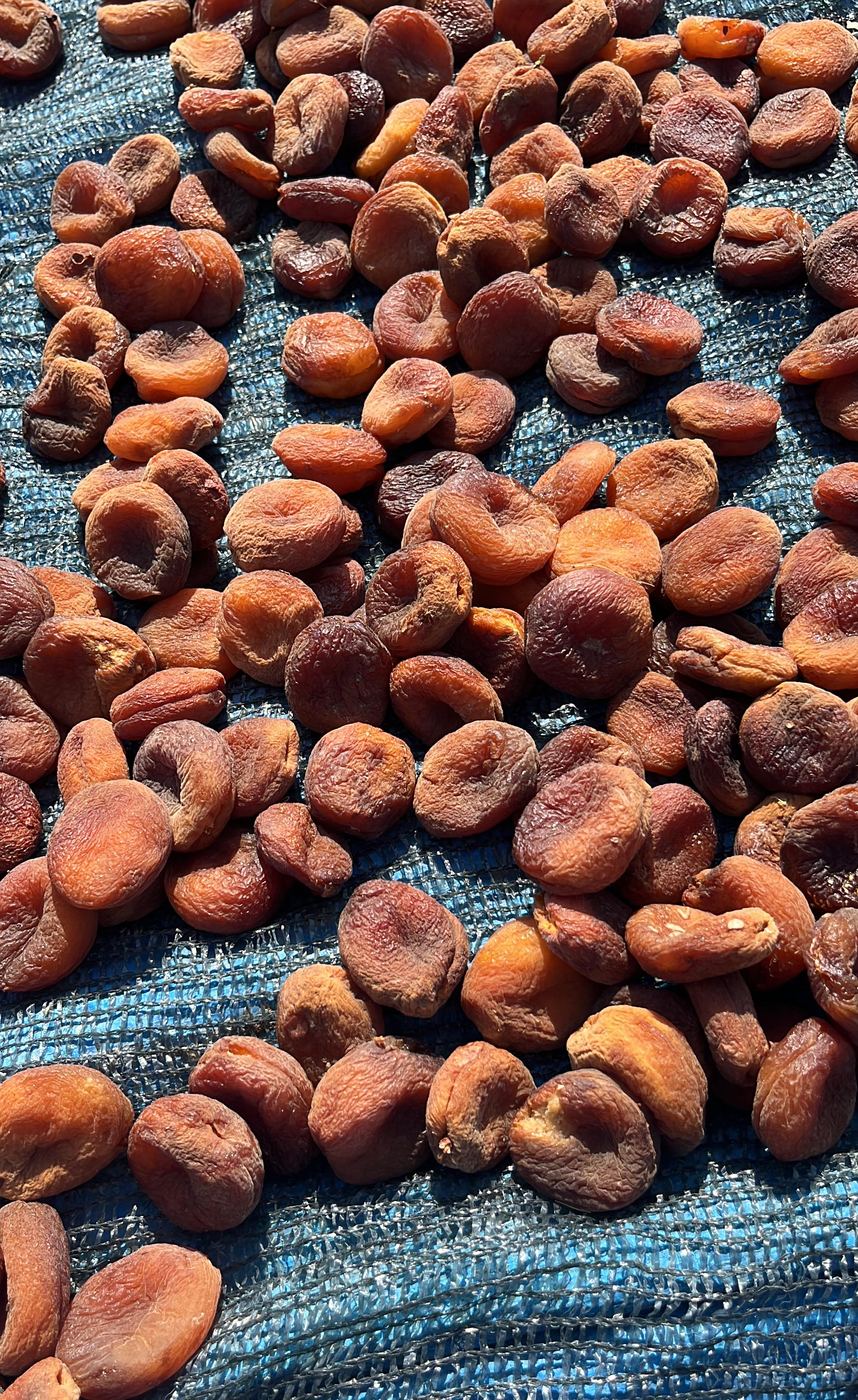 Natural sun-dried Turkish apricots