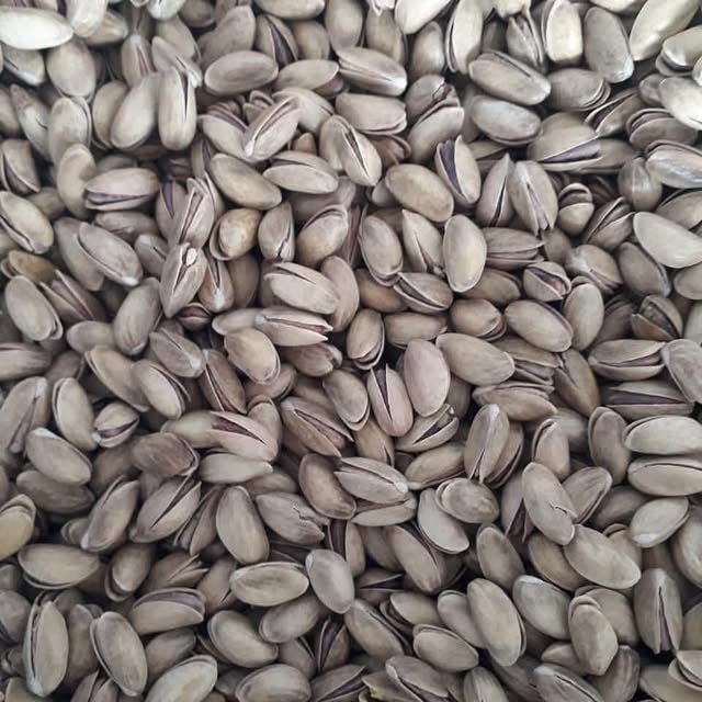 Turkish Antep pistachios in-shell